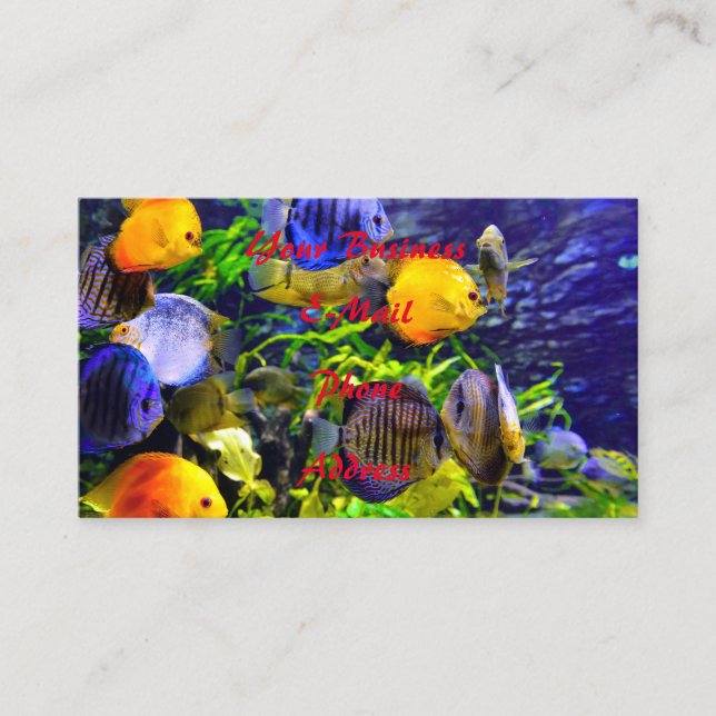 Vibrant Colourful Aquatic Tropical Sea Fish Business Card (Front)