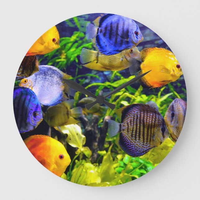 Vibrant Colourful Aquatic Tropical Sea Fish Large Clock (Front)