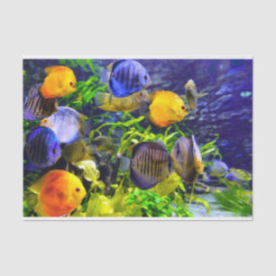 Vibrant Colourful Aquatic Tropical Sea Fish Tissue Paper
