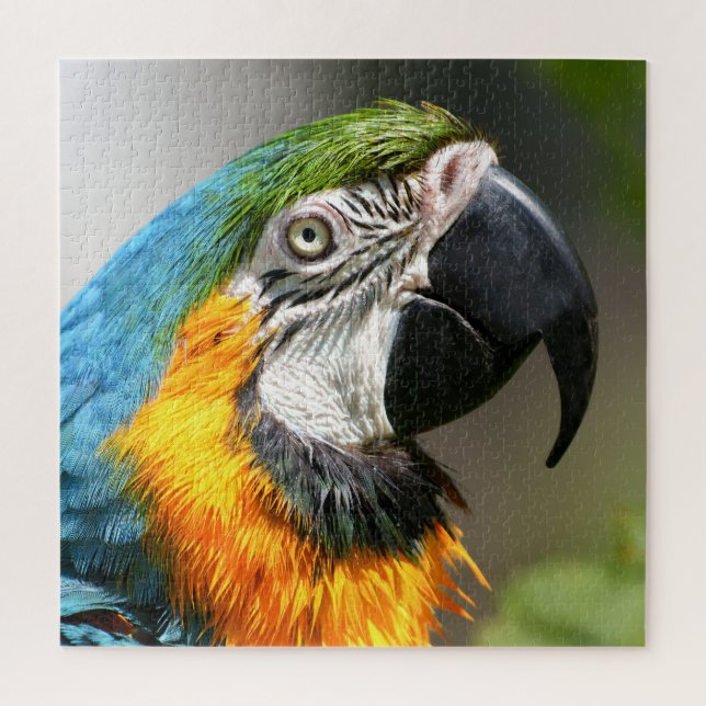 Vibrant Colourful Macaw Jigsaw Puzzle (Vertical)