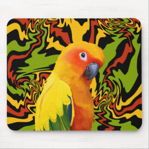 Vibrant Colourful Sun Conure Parrot Mouse Pad