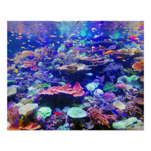 Vibrant Colourful Tropical Fish Aquarium Poster