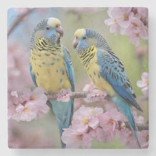 "Vibrant Companions: Blue and Yellow Budgies" Stone Coaster