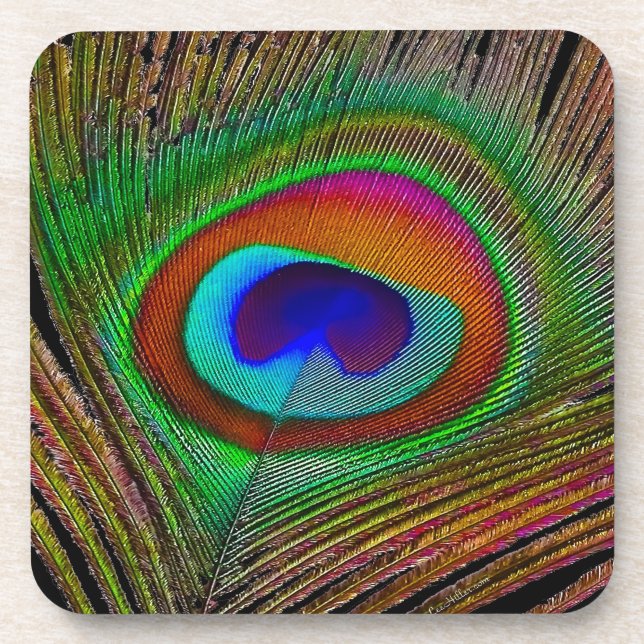 Vibrant Copper Peacock Feather Coaster (Front)