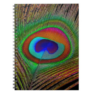 Vibrant Copper Peacock Feather Notebook