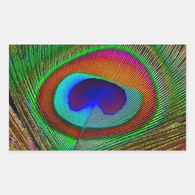 Vibrant Copper Peacock Feather Rectangular Sticker (Front)