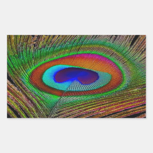 Vibrant Copper Peacock Feather Rectangular Sticker