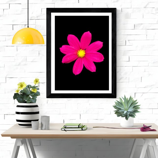 Vibrant Cosmos Burst Photo Print (Creator Uploaded)