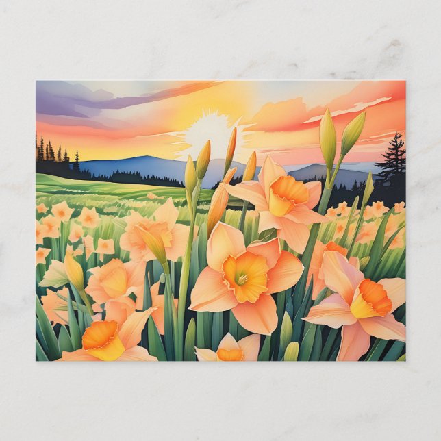 Vibrant Daffodil Meadow Postcard (Front)
