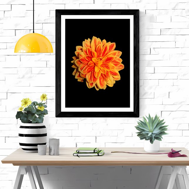 Vibrant Dahlia Photo Print (Creator Uploaded)