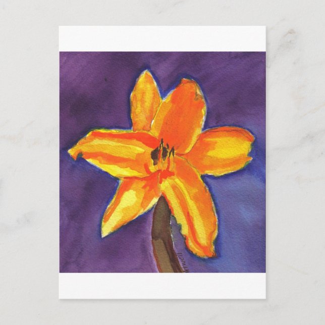 Vibrant Day Lily Postcard (Front)