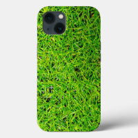 Vibrant Emerald Green Lawn Grass