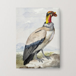 Vibrant Exotic King Vulture Wall Decor