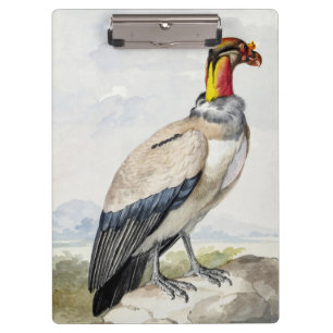 Vibrant Exotic King Vulture Wall Decor Clipboard
