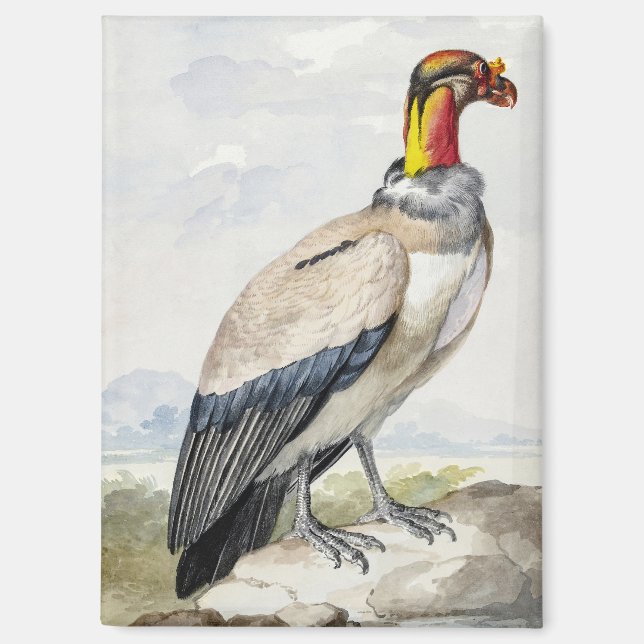 Vibrant Exotic King Vulture Wall Decor Magnet (Front)