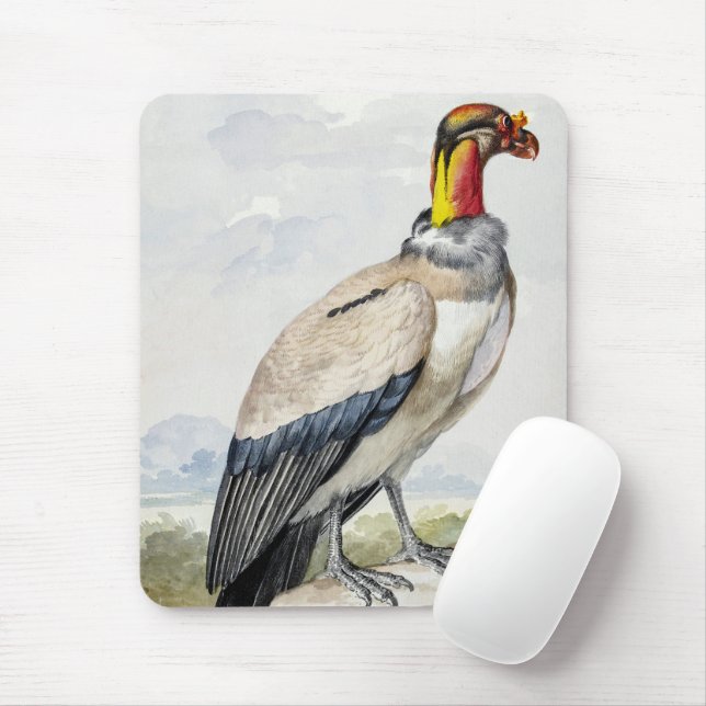 Vibrant Exotic King Vulture Wall Decor Mouse Pad (With Mouse)