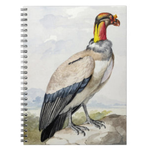 Vibrant Exotic King Vulture Wall Decor Notebook