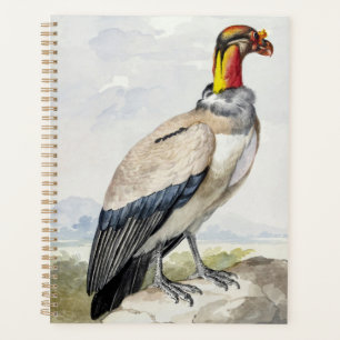 Vibrant Exotic King Vulture Wall Decor Planner