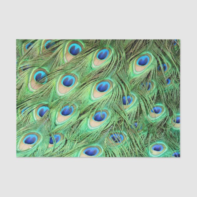 Vibrant Exotic Peacock Feathers Tissue Paper (Front)