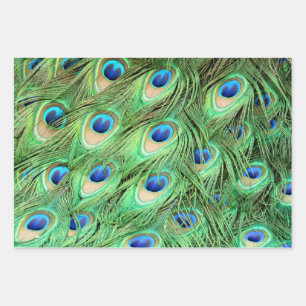Vibrant Exotic Peacock Feathers Wrapping Paper Sheet