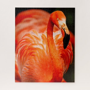 Vibrant Flamingo Wildlife Bird Jigsaw Puzzle