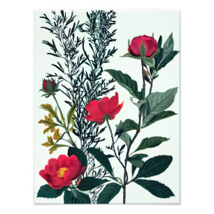 Vibrant Floral Abstract Art Print