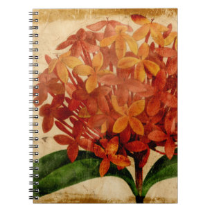 Vibrant Floral III Notebook