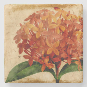 Vibrant Floral III Stone Coaster