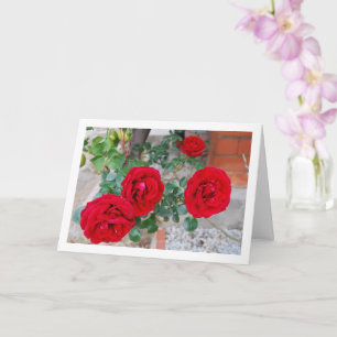 Vibrant Floral Red Roses Card