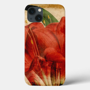 Vibrant Floral VIII iPhone 13 Case