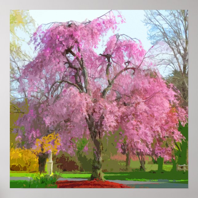 Vibrant Flowering Pink Tree in Spring Poster (Front)