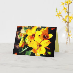 Vibrant Flowers      Card