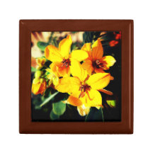 Vibrant Flowers