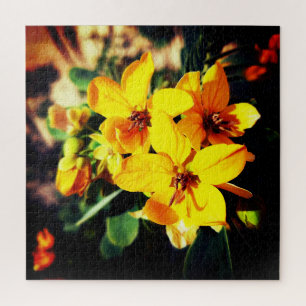 Vibrant Flowers    Jigsaw Puzzle