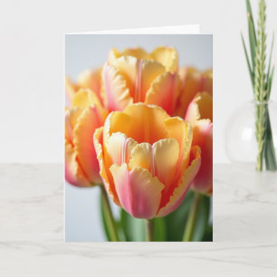 Vibrant Focus Birthday Card