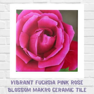 Vibrant Fuchsia Pink Rose Blossom Makro Ceramic Tile