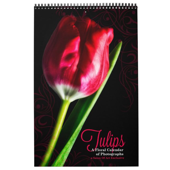 Vibrant Full Length Tulip Garden 12 Month Calendar (Cover)