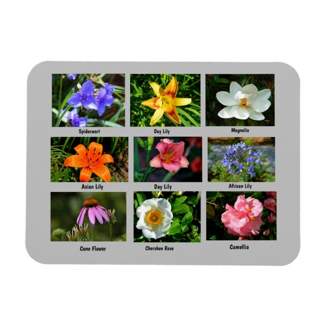 Vibrant garden flowers magnet (Horizontal)