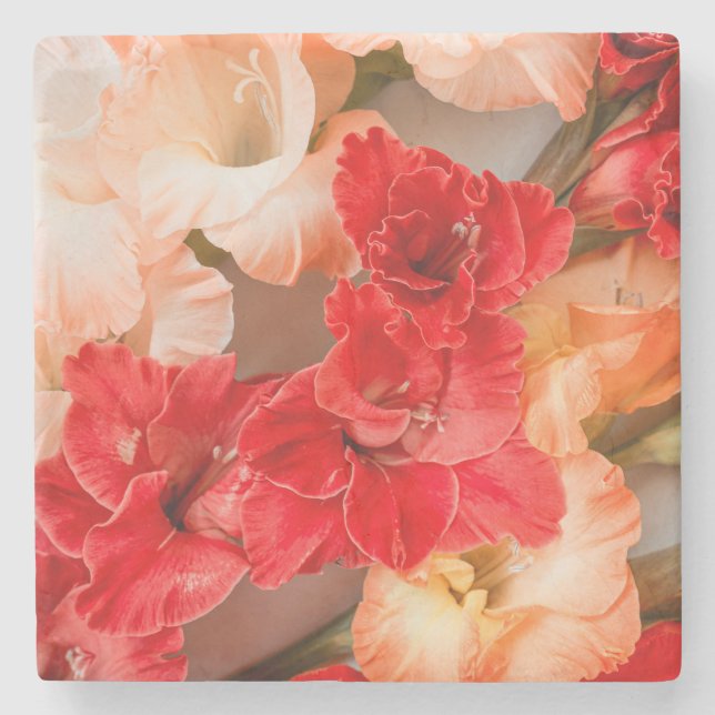 Vibrant Gladiolus flowers Stone Coaster (Front)
