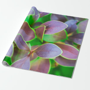 Vibrant green and purple leaves wrapping paper