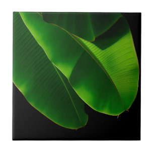 Vibrant Green Banana Leaf Tropical Closeup Ceramic Tile
