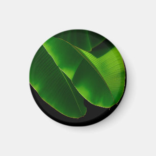 Vibrant Green Banana Leaf Tropical Closeup Magnet