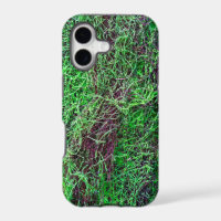 Vibrant Green Forest Moss Fine Twigs Texture Photo