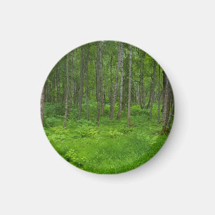 Vibrant Green Forest Serenity Magnet