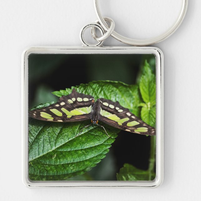 Vibrant Green Keychain (Front)