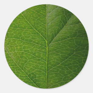 Vibrant Green Leaf Round Sticker - Nature's Beauty