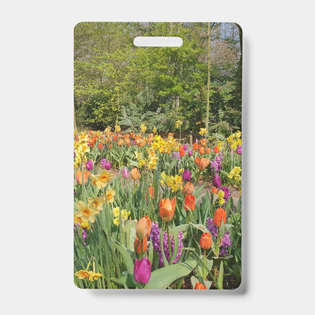 Vibrant Holland Tulip Garden ID Badge (Front)