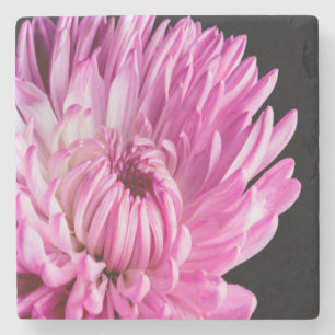Vibrant in Pink Dahlia Stone Coaster