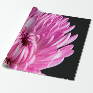 Vibrant in Pink Dahlia Wrapping Paper