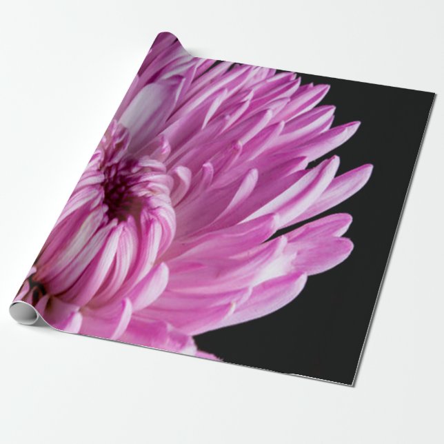 Vibrant in Pink Dahlia Wrapping Paper (Unrolled)